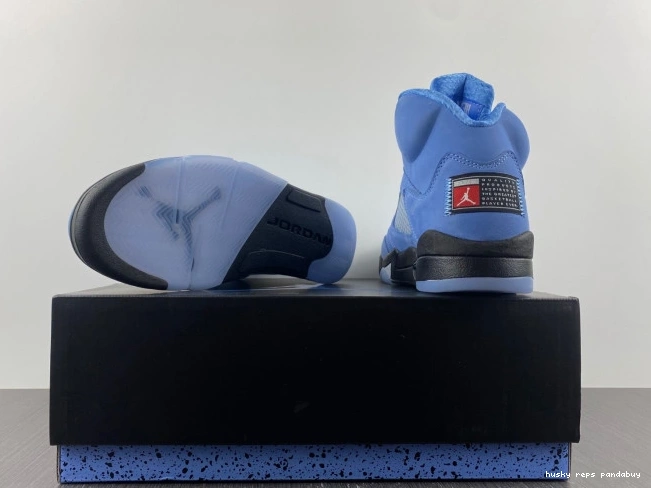 Cheap Husky UNC 5 DV1310-401 Air Jordan 0703